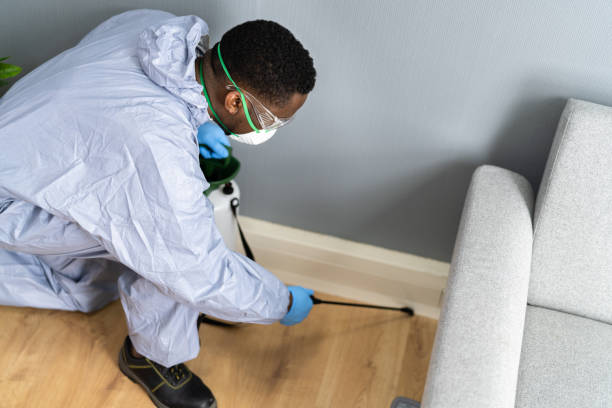 Real Estate Pest Inspections in Broadview, IL